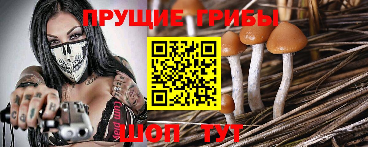Псилоцибиновые грибы мицелий  Вход с VPN  Буйнакск  Галлюциногенные грибы мицелий 